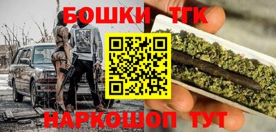 тгк Пугачёв